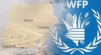 WFP Pauses Aid Operation in Sudan After 3 Workers Killed 