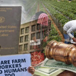 washington orchard violates foreign farmworkers’ rights