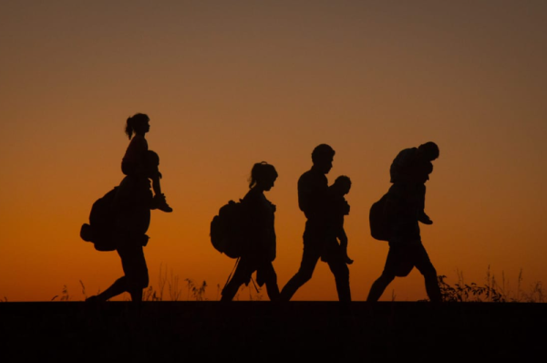 why international migrants day 2024 matters insights on its history and impact