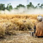 why migrant farm workers are rushing to this district in telangana