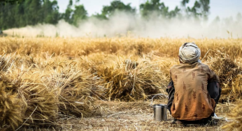 Why migrant farm workers are rushing to this district in Telangana