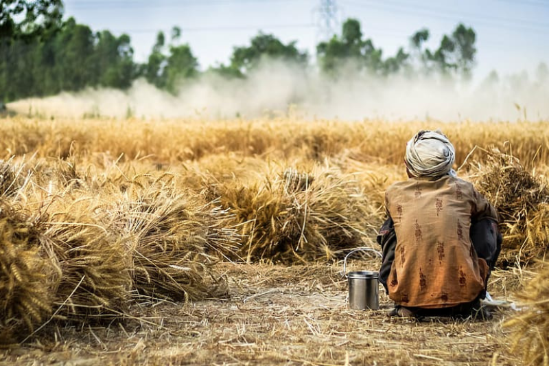 why migrant farm workers are rushing to this district in telangana