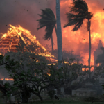 women on the frontlines of hawaii's maui wildfire fight