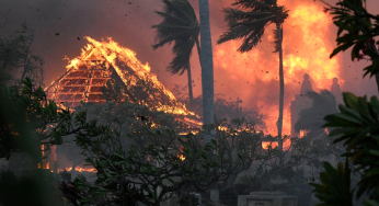 Women on the Frontlines of Hawaii’s Maui Wildfire Fight