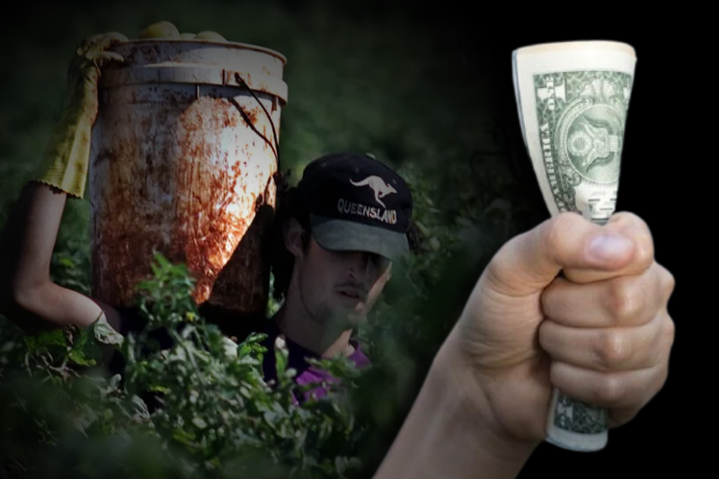 a minimum wage for australia's farm workers is long overdue