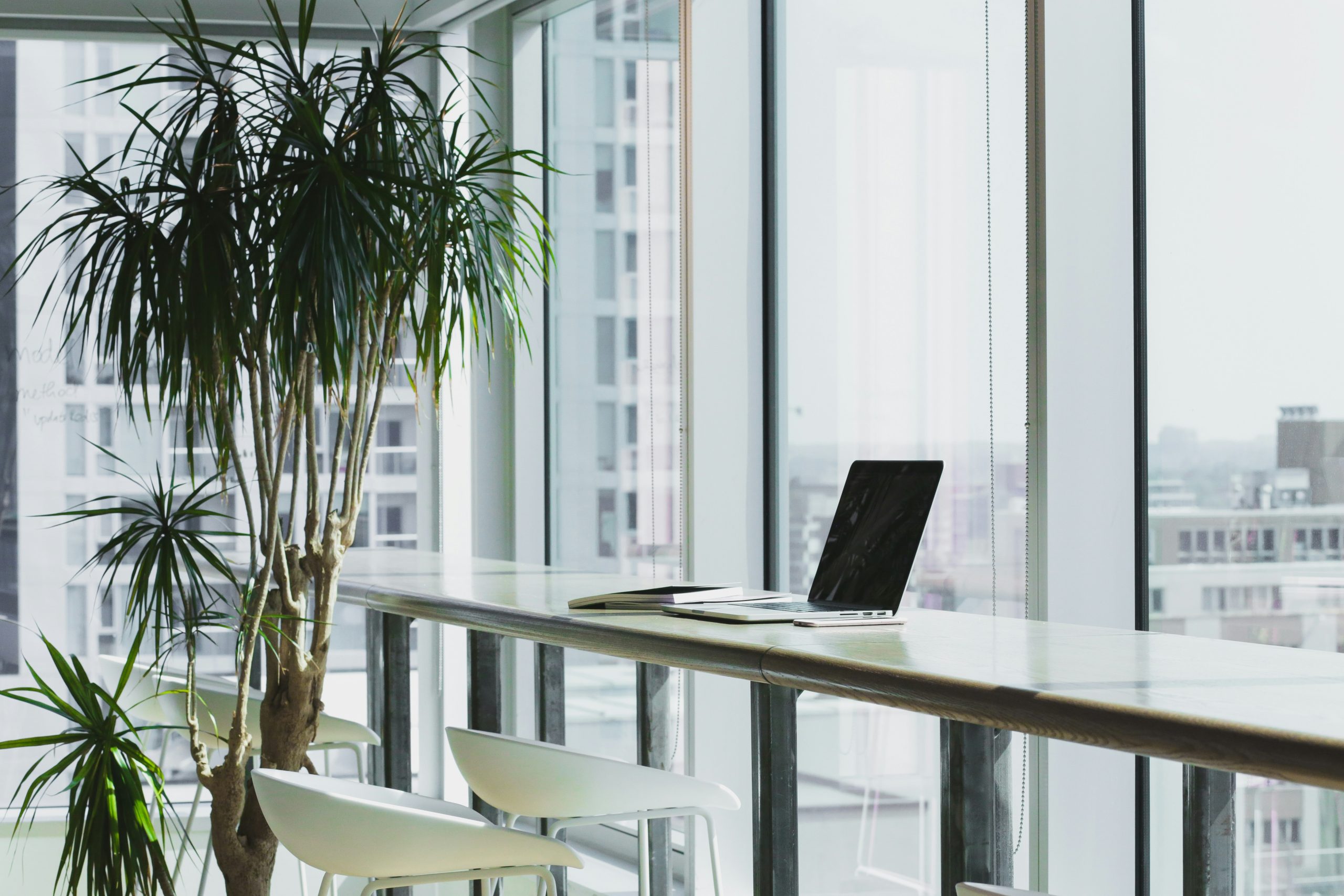 Simple Steps to Go Green: Reducing Your Office's Carbon Footprint