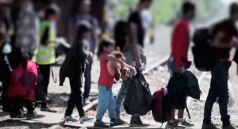 Explore entry-level jobs in Refugee and Immigrant Rights