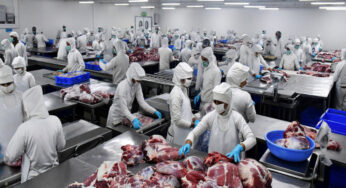 Indonesia scraps rumors of ban on buffalo meat from India