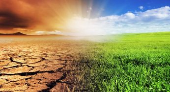 Labour Rights in a Changing Climate: ILO Raises Alarm Over Key Issues