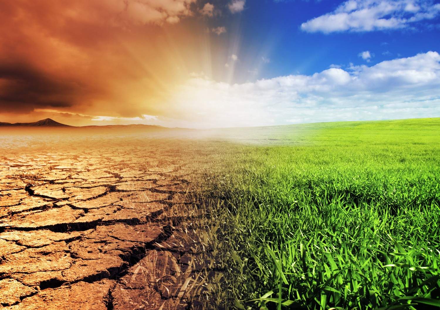 Labour Rights in a Changing Climate: ILO Raises Alarm Over Key Issues