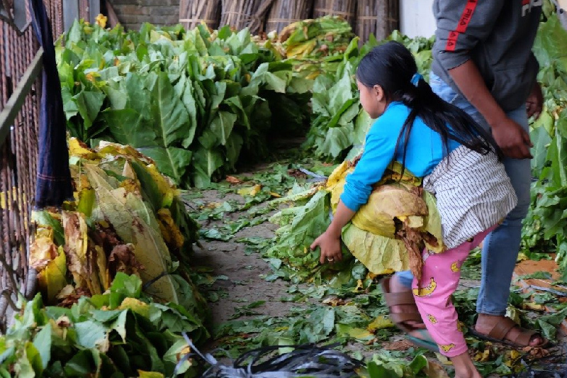 US Department of Labour's efforts to combat child, forced labour in Mexico