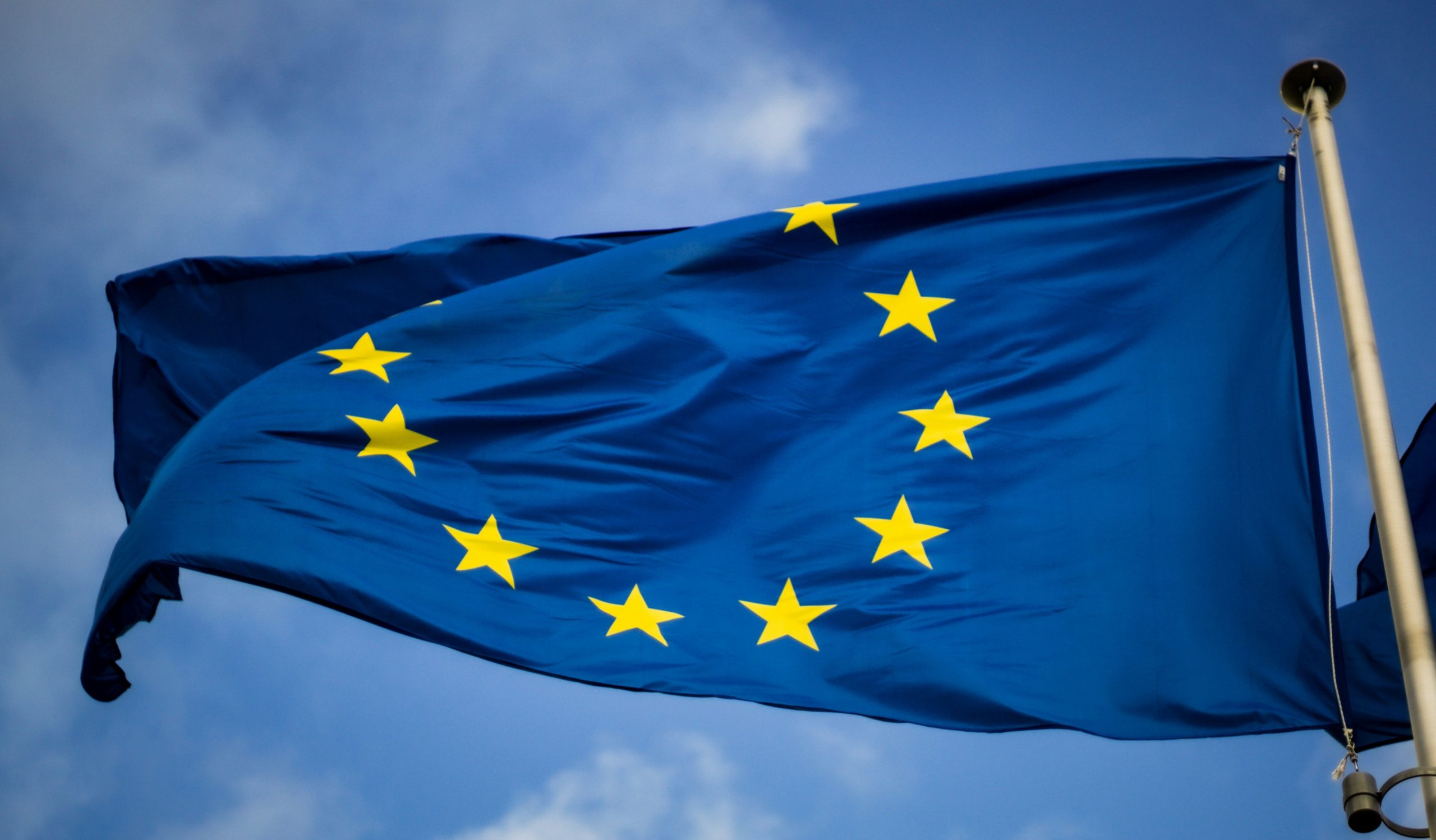 2024 European Elections