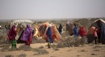 Exploring the Evolving Rural Migration Trends in India amidst Climate Shifts