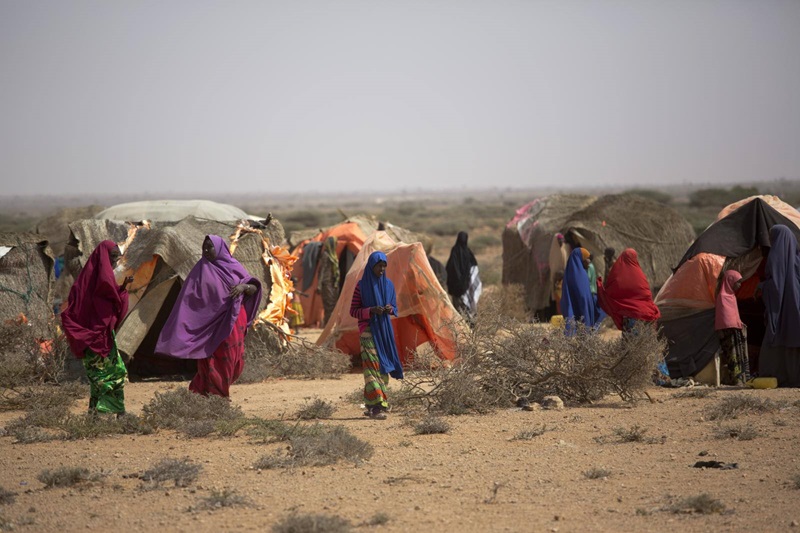 exploring the evolving rural migration trends in india amidst climate shifts