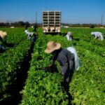 farmers and front line workers, we are yet to give them the deserved rights and respect