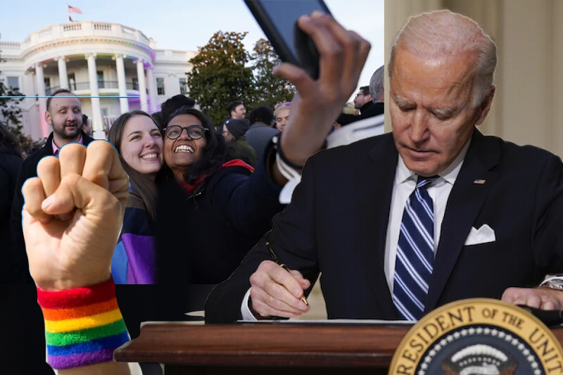 gay marriage law