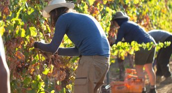 Why Low-skilled Migrant Workers Face Even Worse Exploitation Under NZ’s New Rules?