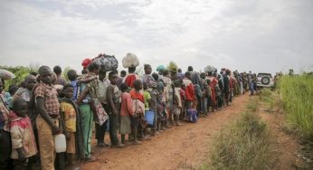 Global Forced Displacement Reaches Unprecedented Levels, Highlighting the Urgent Need for Solutions