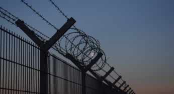 Illegal immigration: El Salvador ready to accept US deportees of any nationality