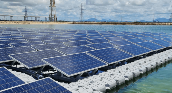India’s Clean Energy Workforce to Grow 18% in FY25