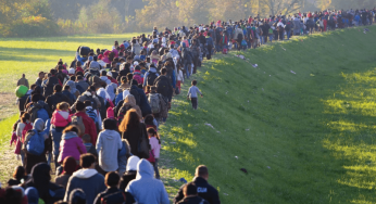Can Migration Solve Population Decline? Exploring the Challenges and Opportunities