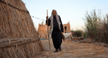 Why is Iraq’s Climate Crisis a Human Rights Crisis? 