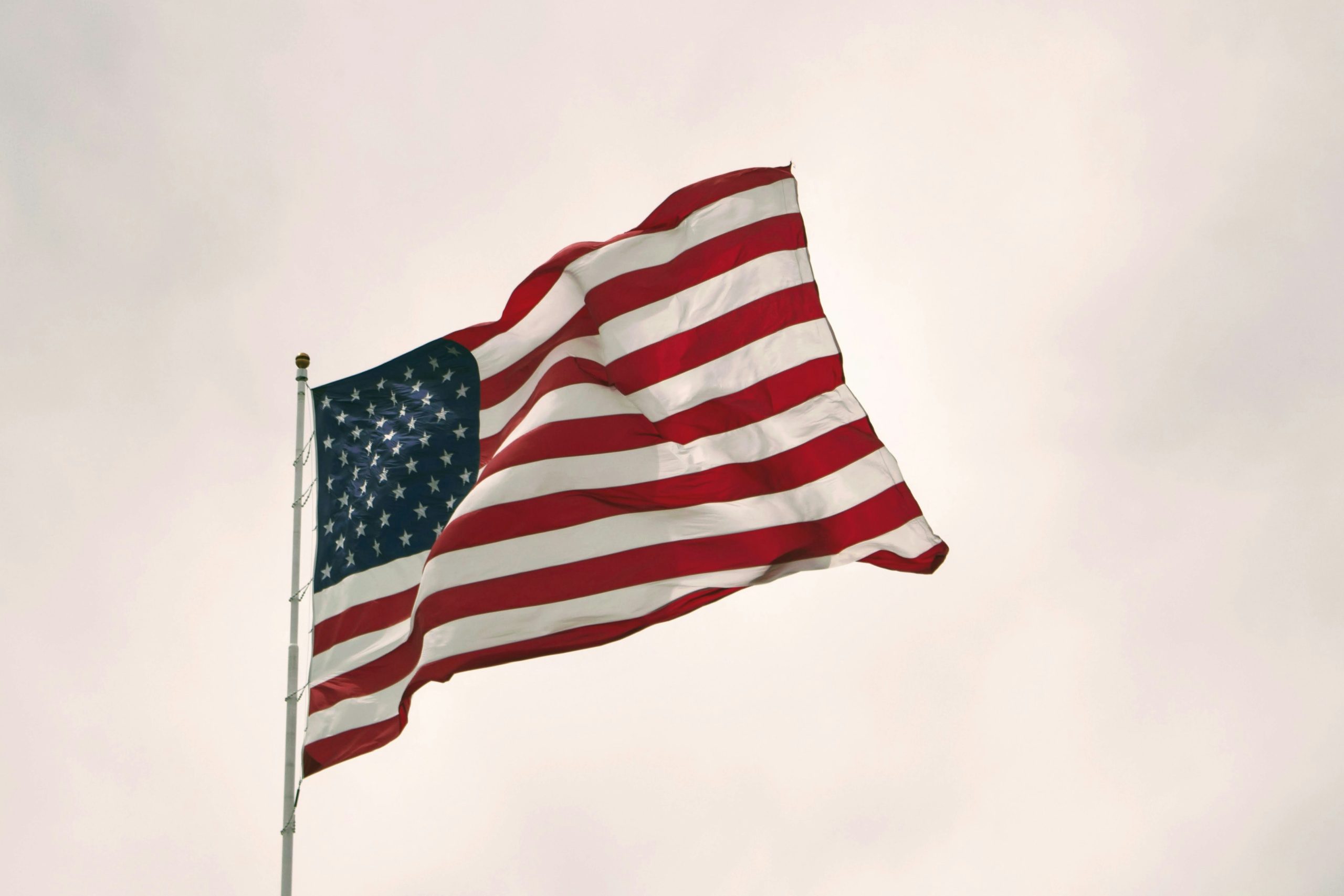 Navigating Your Career: Top Paying Jobs in the US (2024)