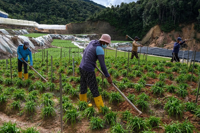 malaysia steps up efforts to address exploitative practices concerning migrant labourers