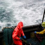 migrant workers share plight on uk fishing boats in a report