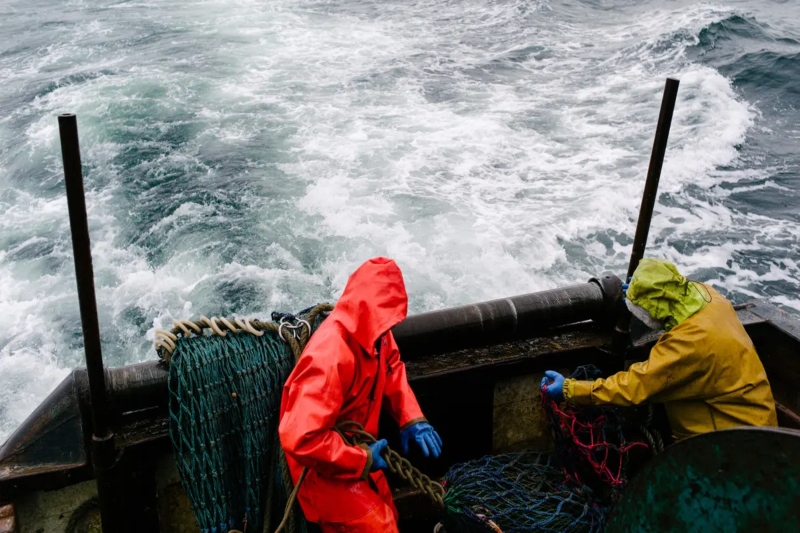 migrant workers share plight on uk fishing boats in a report