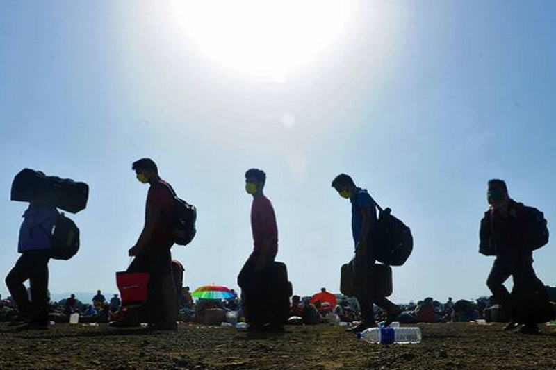 migrants