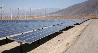 American Solar Companies Might Shy Away from Xinjiang Over Forced Labour Issues
