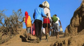 Tigray conflict: The human suffering in Ethiopia that is to unsurmountable proportions
