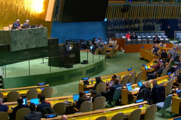 UN general assembly adopts landmark treaty to combat cybercrime