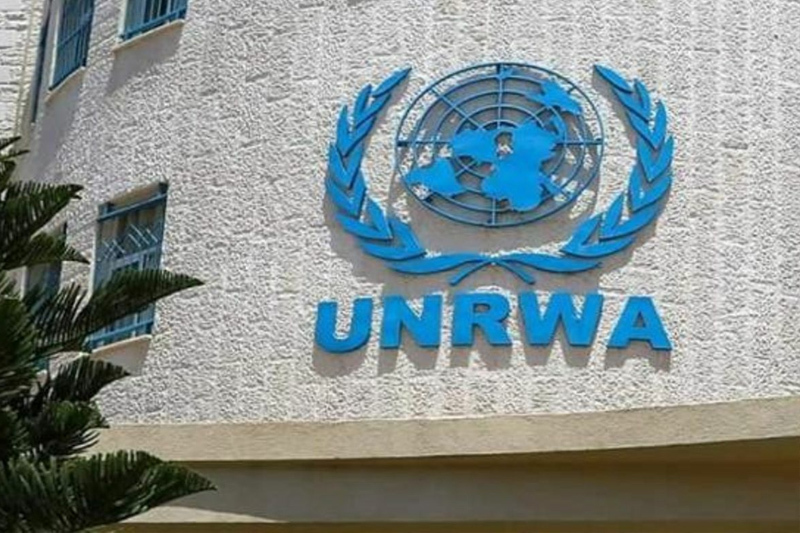 united nations workers killed in israeli attack in the gaza