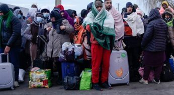 Overcoming Barriers: Why So Few Ukrainian Refugees Work in Germany?